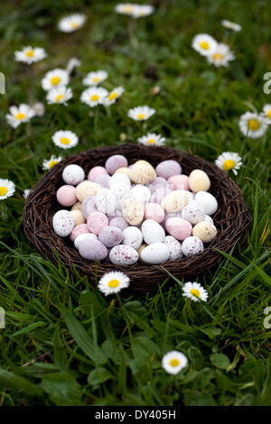Mini Easter eggs in a basket on the lawn. Stock Photo