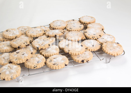 Garibaldi/easter biscuits/cookies on wire cooling rack (1 of a series of 17) Stock Photo