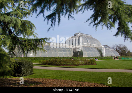 The Palm House at Royal Botanical Gardens, Kew Gardens, London England UK. Stock Photo