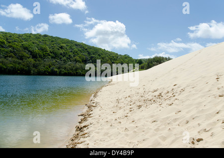 Lake Wabby, Fraser island Stock Photo