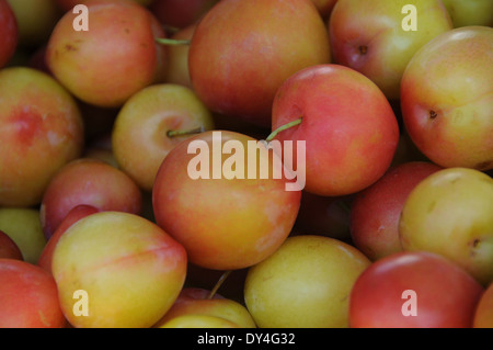 Plum Japanese on sale at farmers market Stock Photo