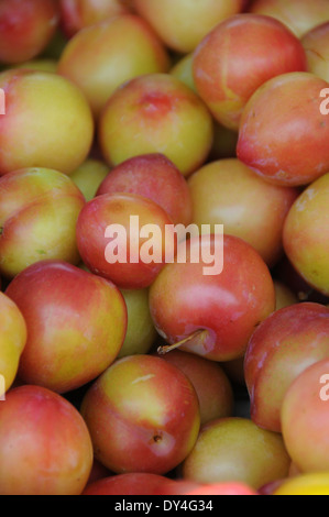 Plum Japanese on sale at farmers market Stock Photo