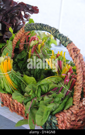 Swiss Chard growing and on sale at farmers market Stock Photo