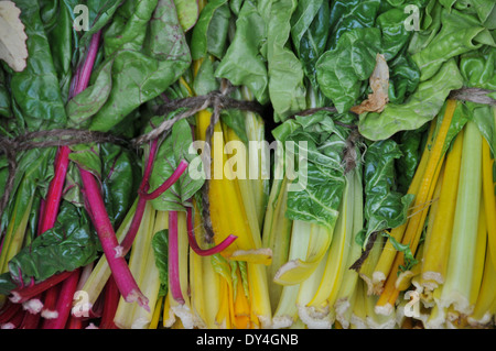 swiss Chard growing and on sale at farmers market Stock Photo