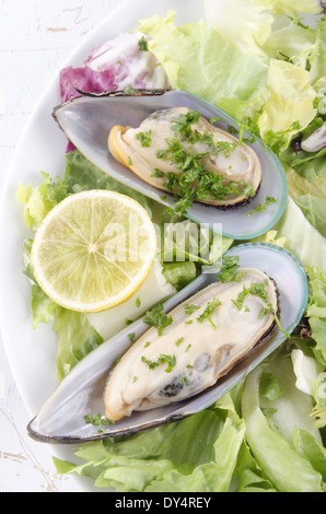green lipped mussels from new zealand with salad and lemon on a plate Stock Photo