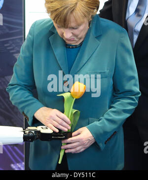 Hanover, Germany. 7th Apr, 2014. German Chancellor Angela Merkel receives a flower from a robot at the Holland's stand of the 2014 Hanover industrial trade fair in Hanover, Germany, on April 7, 2014. Holland is the partner country of the Hanover industrial trade fair 2014, which runs from April 7 to 11. Credit:  Zhang Fan/Xinhua/Alamy Live News Stock Photo