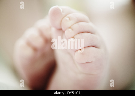 Close up of 4 month old baby boys feet Stock Photo