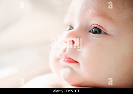 Close up of alert baby boy Stock Photo