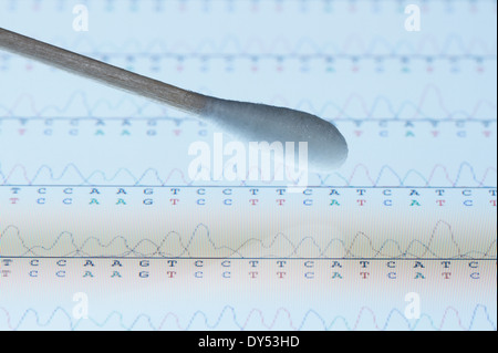 Cotton swab with saliva sample over the screen of a tablet computer that displays results of automated DNA sequencing Stock Photo