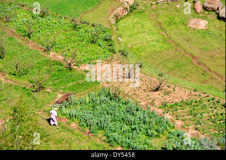 Looking down from above on woman working in garden near Tadmamt in Atlas mountains on road to Oukaimeden from Marrakech, Morocco Stock Photo