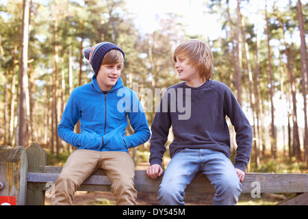 Twin brothers sitting on gate in forest Stock Photo