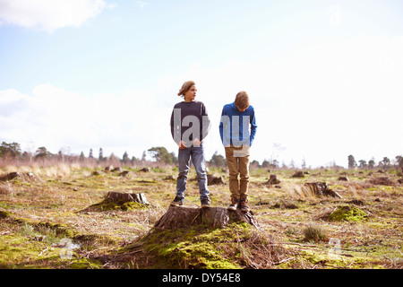 Twin brothers standing on tree stump in forest clearing Stock Photo