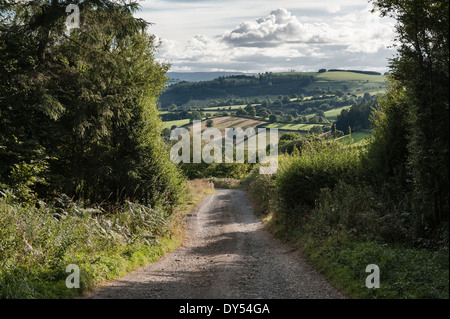 A quiet lane on Stonewall Hill in the Welsh Borders near Knighton, Powys. Stock Photo