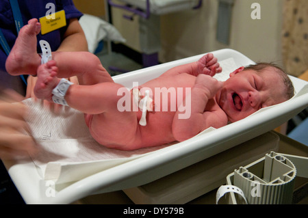 Newborn baby girl being weighed in birthing room Stock Photo