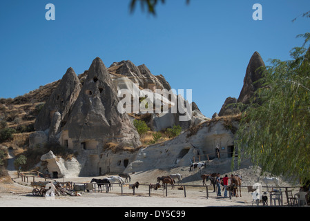 Horse ranch in midst of fairy chimneys and hoodoo rock formations around Goreme - Cappadocia Turkey Stock Photo