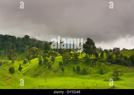 Green fields and forested hillsides at the border of Volcan Baru national park, just outside Cerro Punta in the Chiriqui province, Republic of Panama. Stock Photo