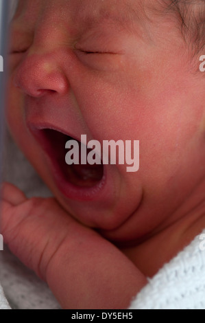 Close up of newborn baby girl crying Stock Photo