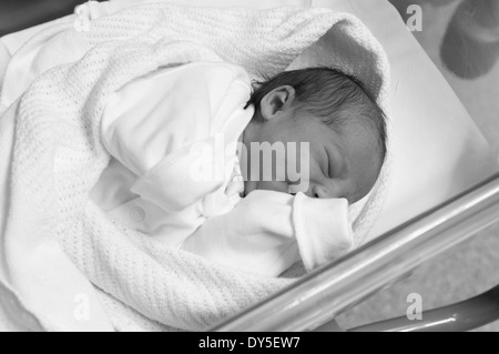 Newborn baby girl a few hours old asleep in hospital cot Stock Photo