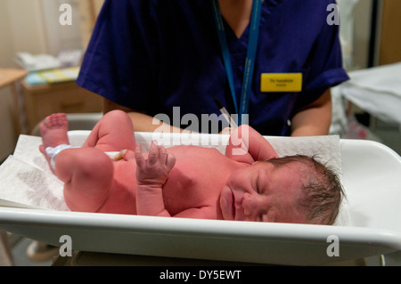 Newborn baby girl being weighed in birthing room Stock Photo