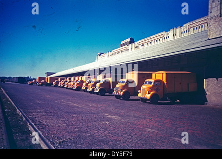 [Warehouse Loading Docks, Texas & Pacific Railway Company] Stock Photo