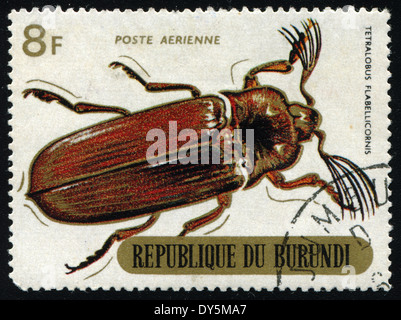 REPUBLIC OF BURUNDI - CIRCA 1970:printed in Republic of Burundi shows shows beetle (tetralobus flabellicornis), circa 1970.