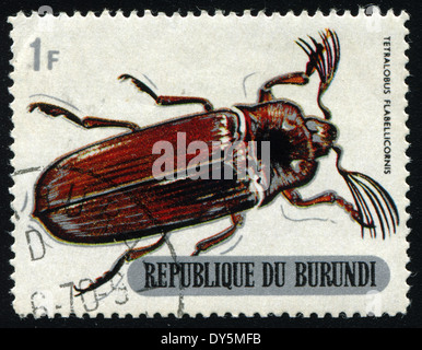 REPUBLIC OF BURUNDI - CIRCA 1970:printed in Republic of Burundi shows shows beetle (TETRALOBUS FLABELLICORNIS), circa 1970.