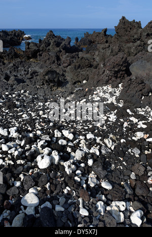 Black Lava and White Coral, Kealakekua Bay, Captain Cook, Kailu Kona, Big Island, Hawaii, USA Stock Photo