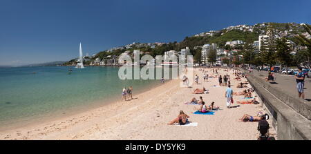 Oriental Bay and beach, Wellington, North Island, New Zealand, Pacific Stock Photo