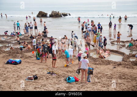 People at Hot Water Beach, Hahei, Coromandel Peninsula, Waikato, North Island, New Zealand, Pacific Stock Photo