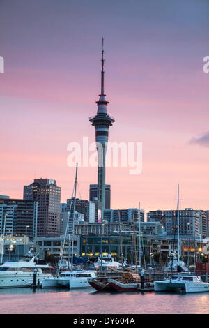 Viaduct Harbour and Sky Tower at sunset, Auckland, North Island, New Zealand, Pacific Stock Photo