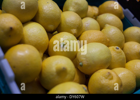 27/02/14 Morrisons M Local opens at Piccadilly Gardens , Manchester. lemons on a shelf Stock Photo