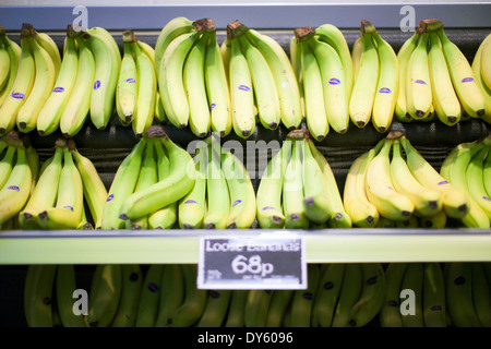 27/02/14 Morrisons M Local opens at Piccadilly Gardens , Manchester. Bananas on a shelf Stock Photo