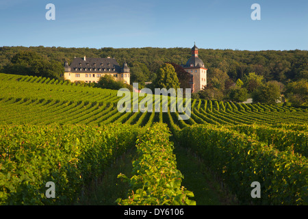 Vollrads castle, Rheingau, Rhine river, Hesse, Germany Stock Photo