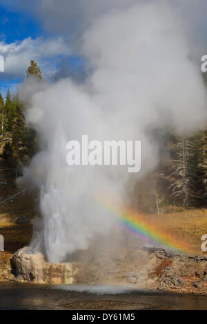 Rainbow cast by eruption of Riverside Geyser, Firehole River, Yellowstone National Park, UNESCO Site, Wyoming, USA Stock Photo