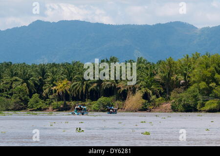 Sierpe River, Osa Peninsula, Costa Rica, Central America Stock Photo