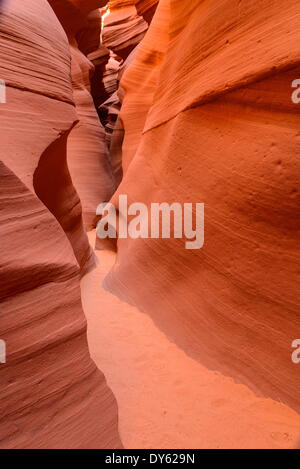 Lower Antelope Canyon, near Page, Arizona, United States of America, North America Stock Photo