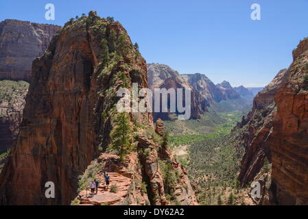 Trail to Angels Landing, Zion National Park, Utah, United States of America, North America Stock Photo