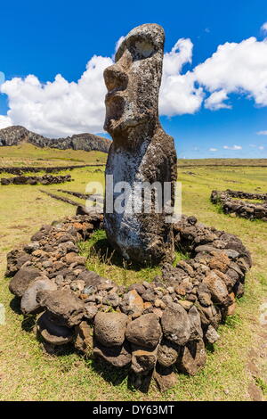 Moai statue guards the entrance at restored ceremonial site of Ahu Tongariki on Easter Island (Rapa Nui), UNESCO Site, Chile Stock Photo