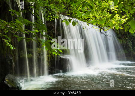 Sqwd Ddwli Waterfall, Brecon Beacons, Wales, United Kingdom, Europe Stock Photo