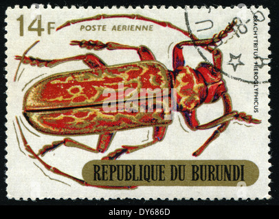 REPUBLIC OF BURUNDI - CIRCA 1970:printed in Republic of Burundi shows shows beetle (brachytritus hiroglyphicus), circa 1970.