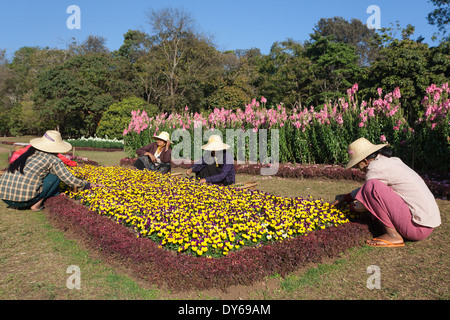 Women doing the gardening in the National Kandawgyi Botanical Gardens in Pyin U Lwin, Myanmar Stock Photo