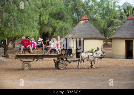 Tourists ride on a cart pulled by a mule and a donkey in the Karoo region South Africa Stock Photo
