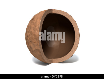 A hollowed out macadamia nut shell with a quarter segment cut away on an isolated white background Stock Photo