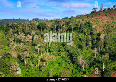 Forested hillside and farmlands between the villages Volcan and Rio Sereno in the Chiriqui province, Republic of Panama. Stock Photo