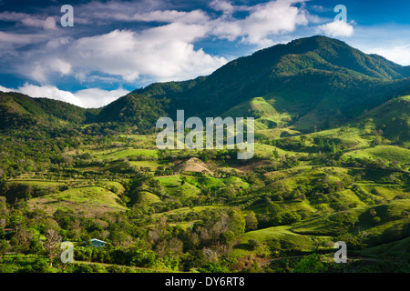 Farmlands and forested hillsides between the villages Volcan and Rio Sereno in the Chiriqui province, Republic of Panama. Stock Photo