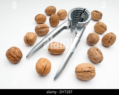 Walnuts and nutcracker cut out isolated on white background Stock Photo