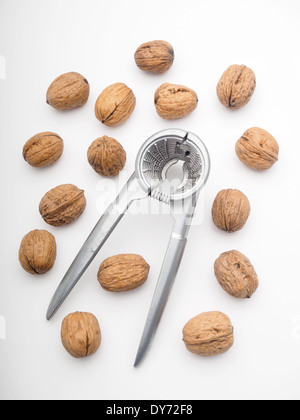 Walnuts and nutcracker cut out isolated on white background Stock Photo