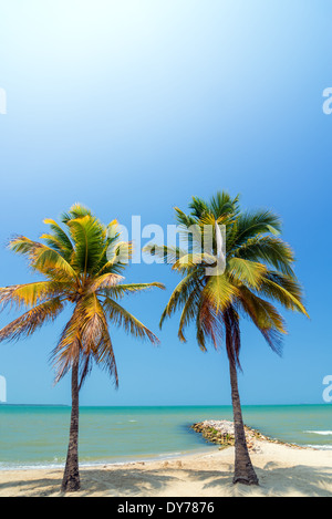 Two palm trees on a beautiful white Caribbean beach near Covenas, Colombia Stock Photo