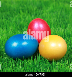 Red, blue and yellow Easter eggs on a green meadow Stock Photo