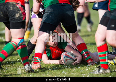 Aberystwyth university women (in red and green) playing rugby against Trinity St Davids university, Wales UK Stock Photo